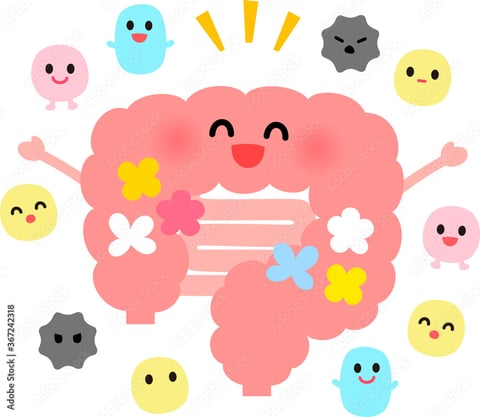 11/7は【腸温活の日】！！