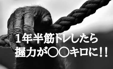 驚異の結果！筋トレを1年半続けたら握力が○○kgに！