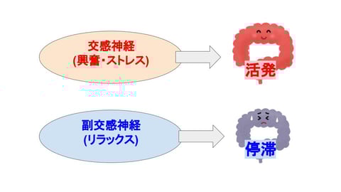 腸から自立神経を整える！｜マッサージのように気持ちいい、肩甲骨ストレッチのリラク日本橋店【東京駅,日本橋駅,大手町駅,三越前駅すぐ】