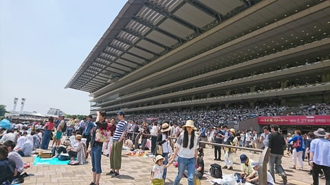 競馬の祭典