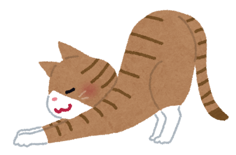 肩甲骨をはがすストレッチでお疲れにくいお身体へ！