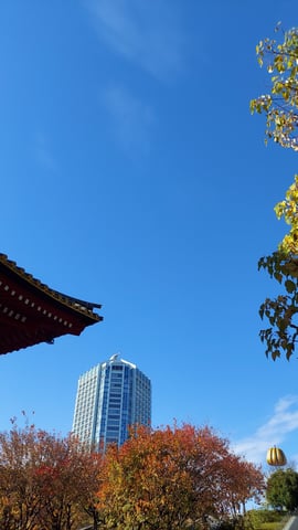 2022年クリスマスイブ・年末のお疲れをリフレッシュ♪感謝の思いでほぐして参ります♪