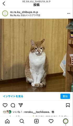 お店の公式インスタグラムをゆる～く配信中(≧▽≦)
