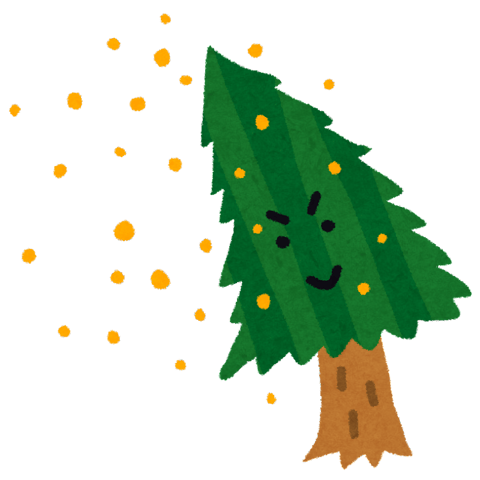 今年の花粉はいつから??☆2023★