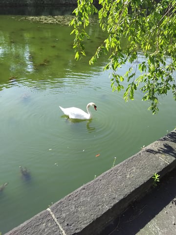 皇居をウォーキング！