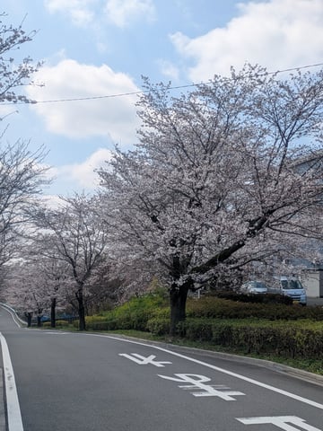 4月4日(土)のご案内♪