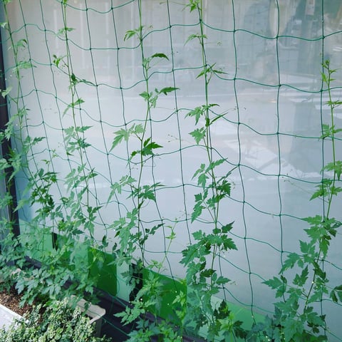 良く晴れた冬の一日