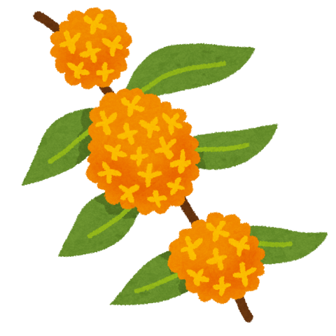 秋の訪れ　～金木犀の香り～｜マッサージのように気持ちいい、肩甲骨ストレッチのリラク日本橋店【東京駅,日本橋駅,大手町駅,三越前駅すぐ】