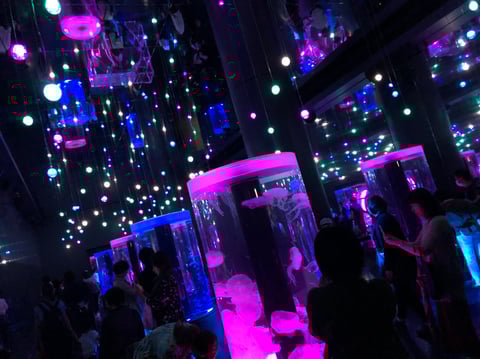 久しぶりの水族館へ！！！！(*´▽｀*)