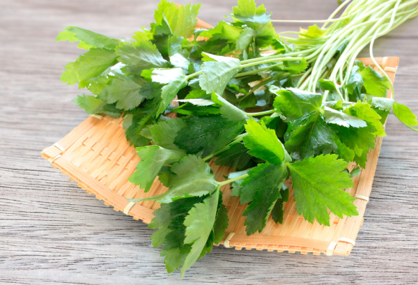 【御成門駅前店】　本日のご案内状況のお知らせ
