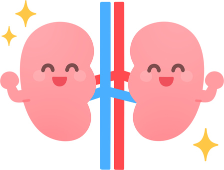 冬を乗り切る！『腎』パワー