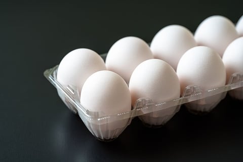 わたしの偏愛