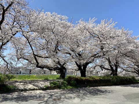 どのコースを選べばいいか分からない
