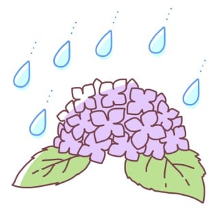 まもなく梅雨～大西～