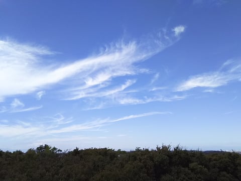 青空散歩