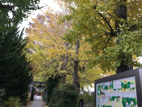 11月22日（木）のご予約状況のお知らせです☆