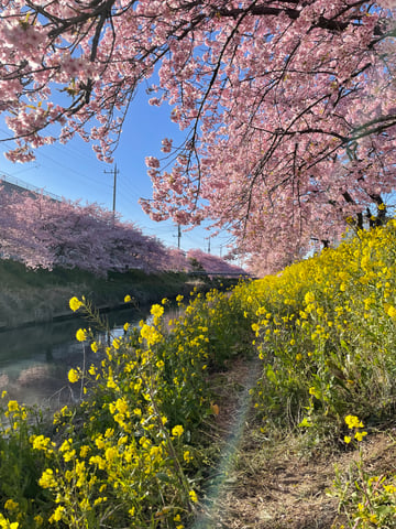 ☆3月15日(金)空き情報☆