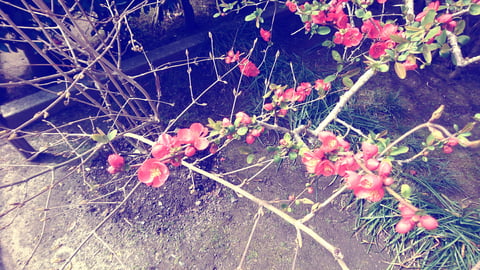 日常の小さな発見♪