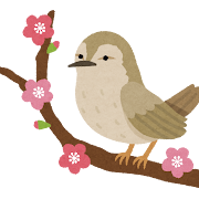 立春！新しい季節に向けて身体を整えましょう！