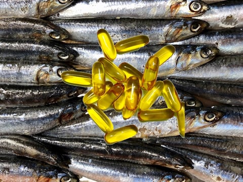 フィッシュオイルは万能！EPAとDHAの世界