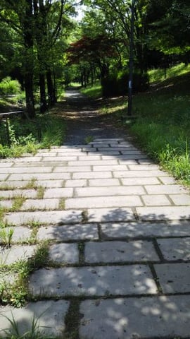 少年の心に帰った一日