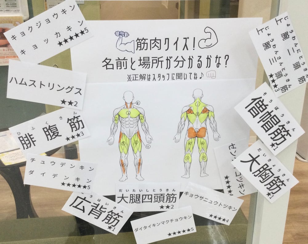 筋肉クイズヒント！