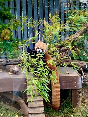 【Re.Ra.Ku　光が丘IMA店】宝探し