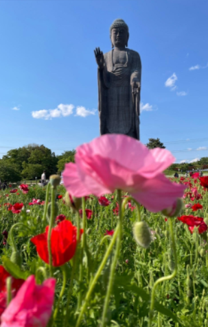 5月17日☆空き情報