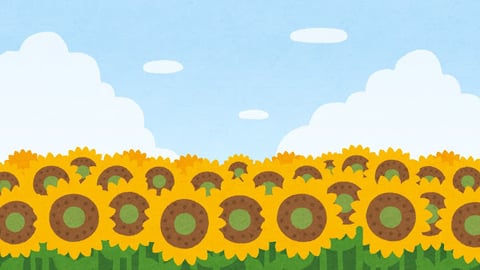 ひまわり【マッサージのように気持ちいいリラクセンター南サウスウッド店】