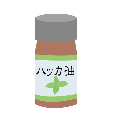 お風呂でハッカ油使って夏を乗り越えよう！