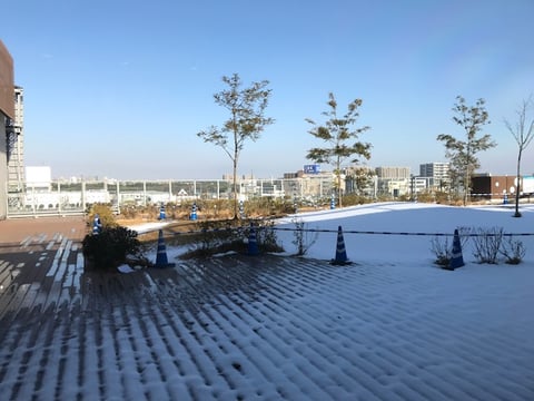 本日のご案内状況＆おおの近況報告