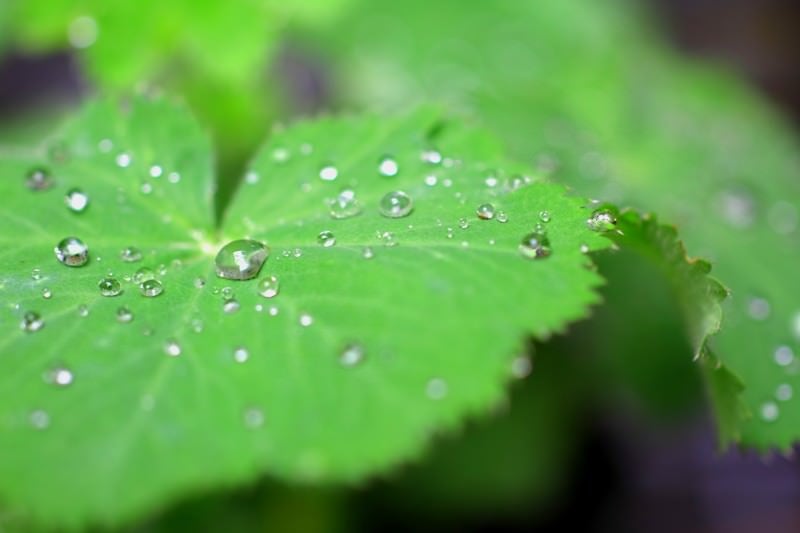 まもなく梅雨？！気象病の方へオススメあります！【Re.Ra.Ku姪浜駅南口店】