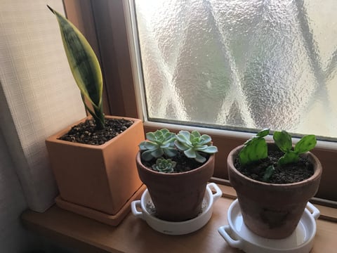 冬の悩み・・・