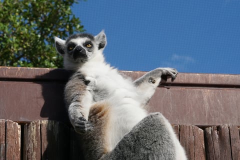 日光浴のススメ