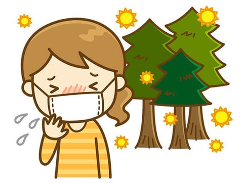 花粉の季節です💦