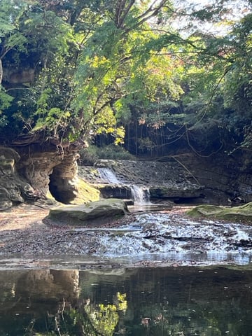 関東一遅い紅葉