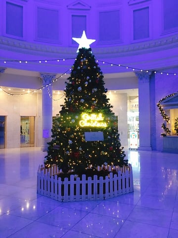 もう12月ですね！