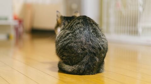 【大井町駅前店】正しい姿勢を保てない３つの原因