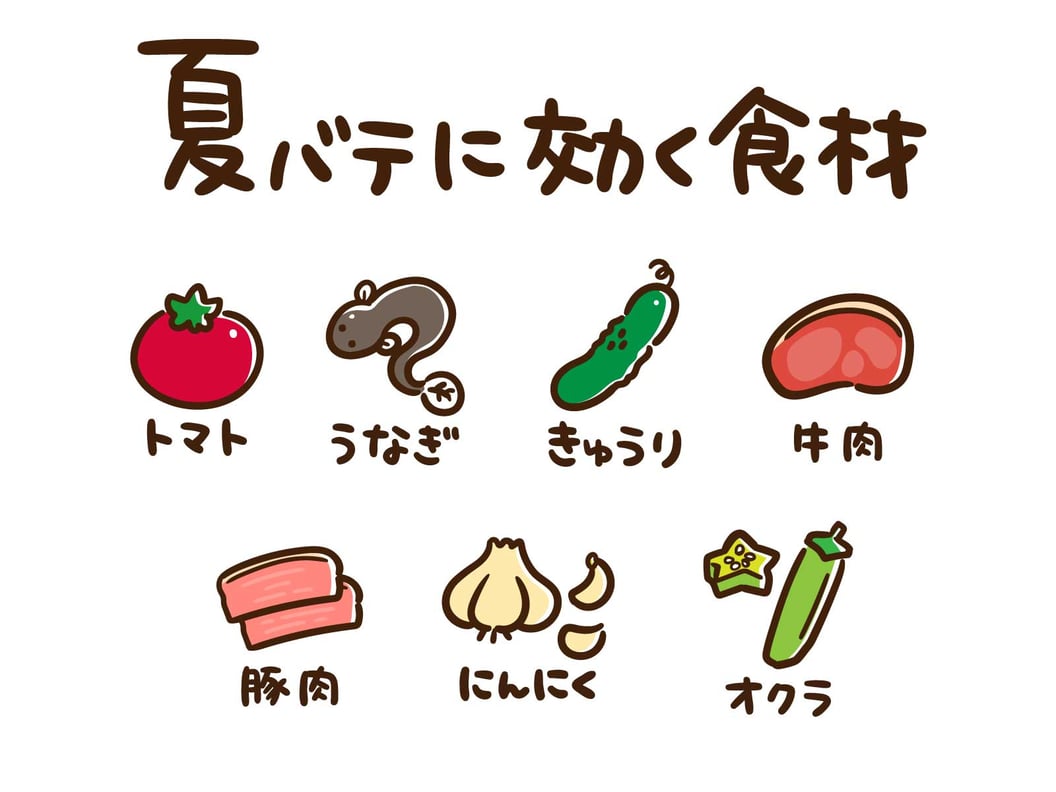 栄養の摂れる夏の食材