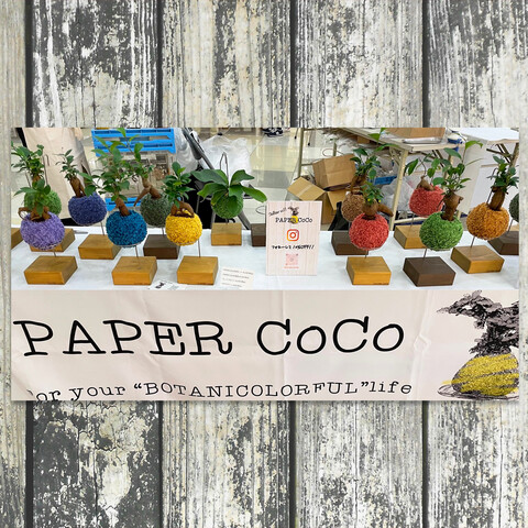 PAPER CoCoをつくろう！