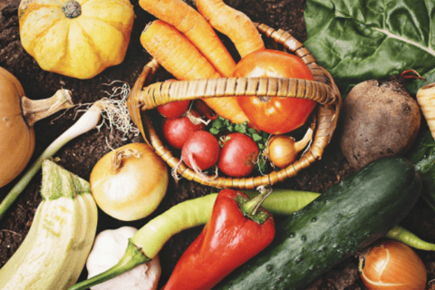 「身近な１つから！あなたも今日からオーガニックライフ」