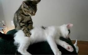 あっという間に3月！？