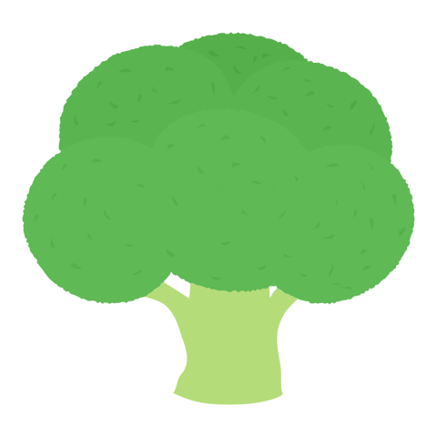 ブロッコリーの魅力