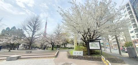 【桜満開♪】アロマを楽しみながら