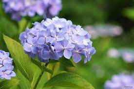 超絶睡眠ヘッドスパの魅力