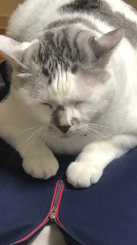 お腹ケアのススメ