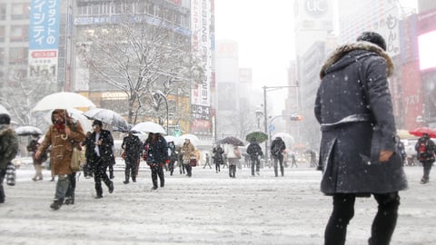 2月11日（月）本日の空き情報♪