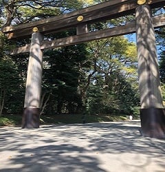 【Echika表参道店】パワースポット✨✨