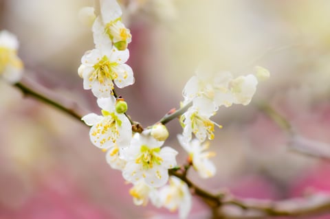 4月2日（火）本日の空き情報♪