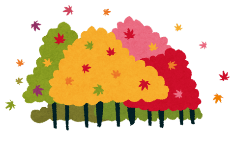 睡眠の質を高めよう！